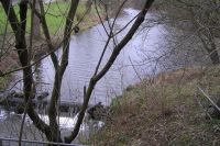 prosensdorf4
