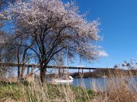 eiderseen28c